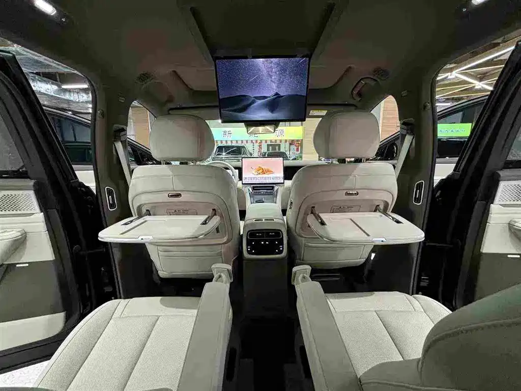Denza Zoom N8L — миниатюра 8