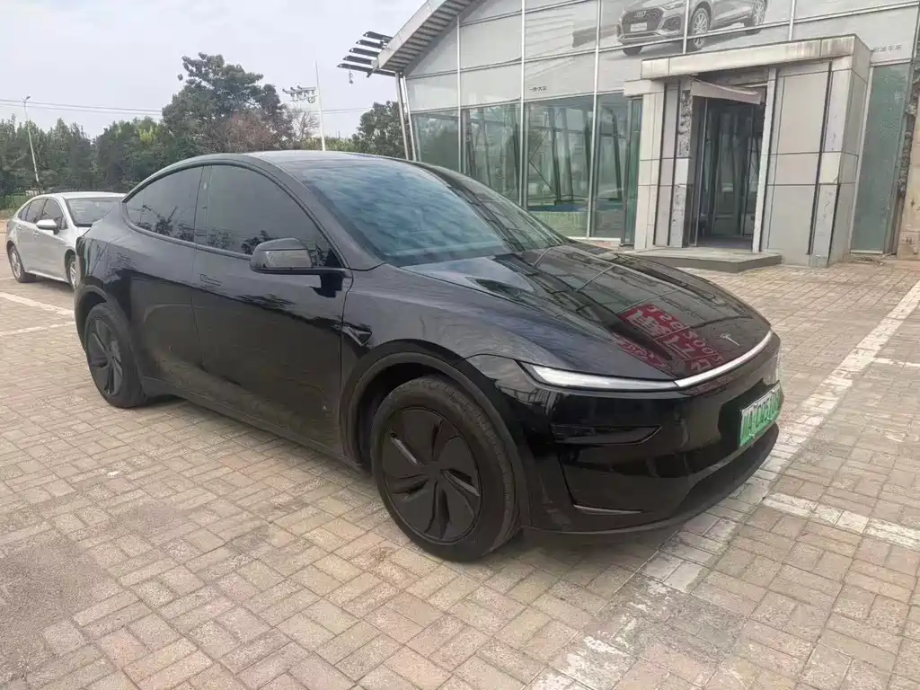 Tesla Model Y — миниатюра 3