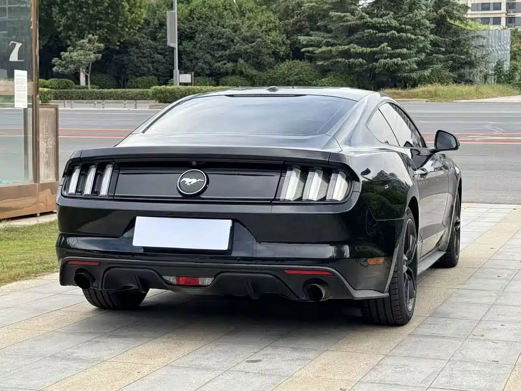 Ford Mustang — миниатюра 8