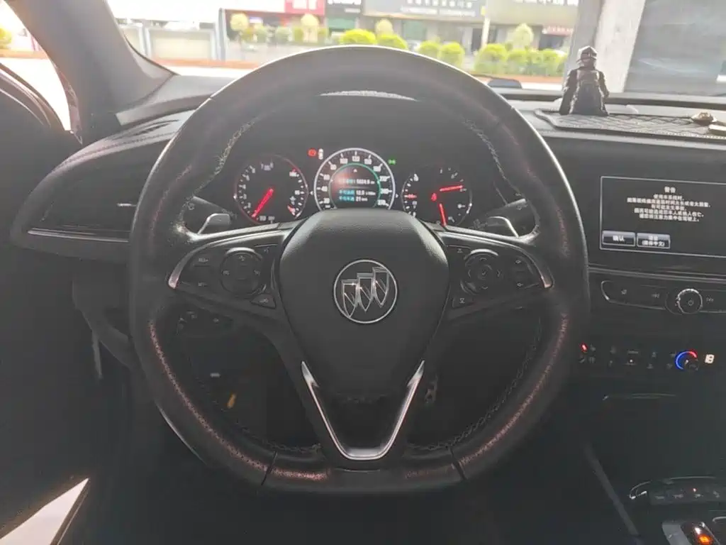 Buick Regal — миниатюра 11