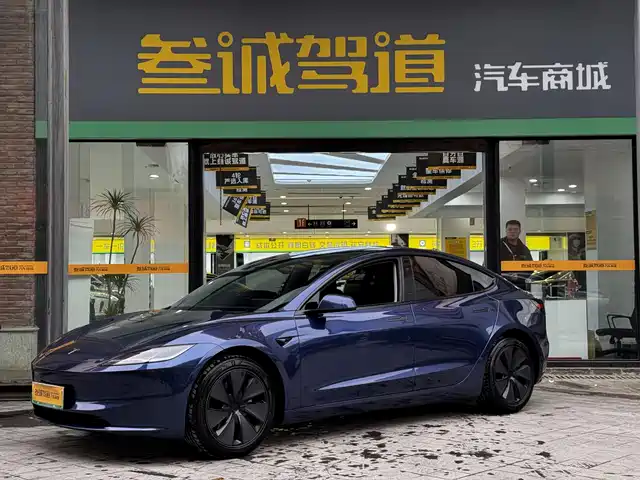 TESLA MODEL 3 2025