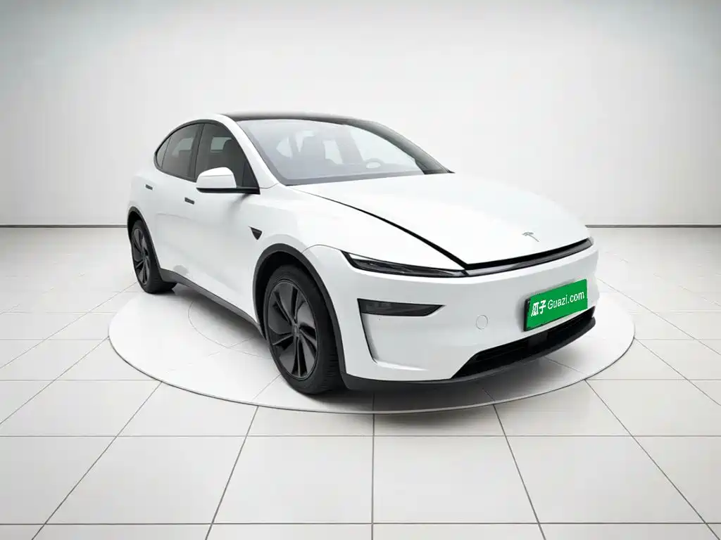 Tesla Model Y — миниатюра 3