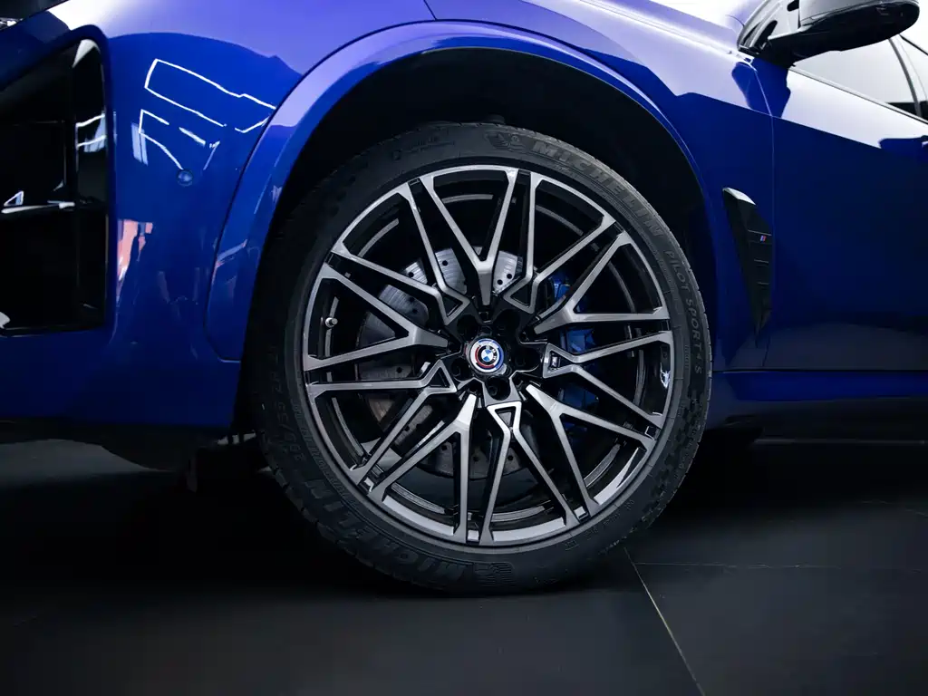 BMW X5 M — миниатюра 23