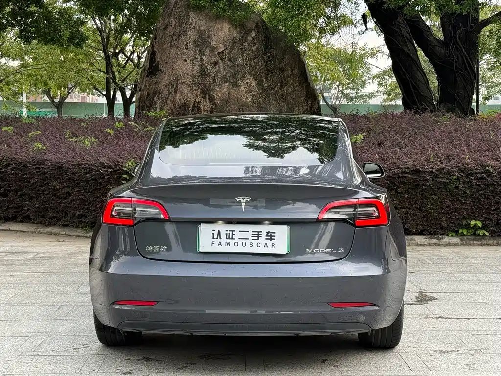 Tesla Model 3 — миниатюра 17