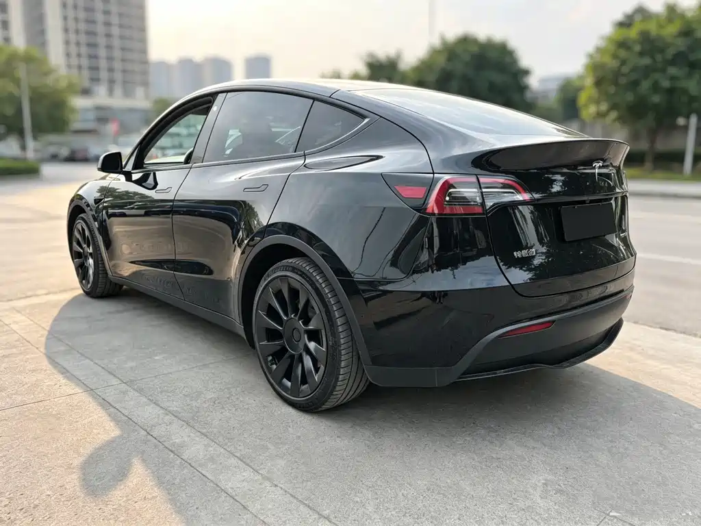 Tesla Model Y — миниатюра 6