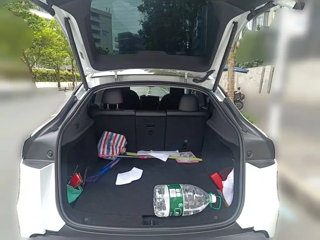 Tesla Model Y — миниатюра 20