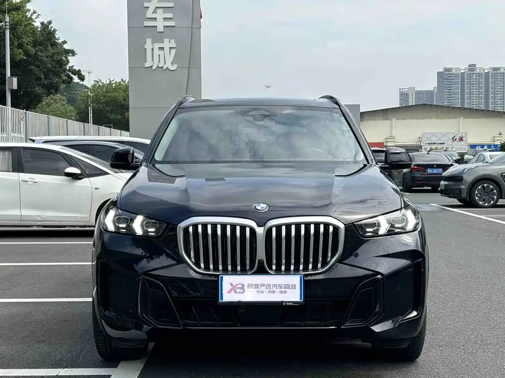 BMW X5 — миниатюра 2