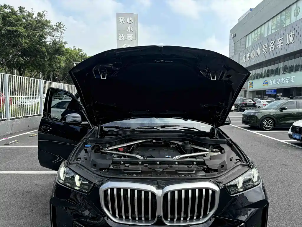 BMW X5 — миниатюра 8