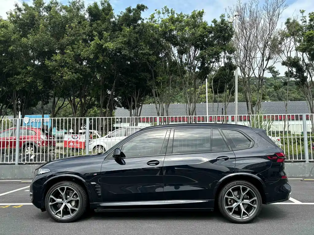 BMW X5 — миниатюра 11