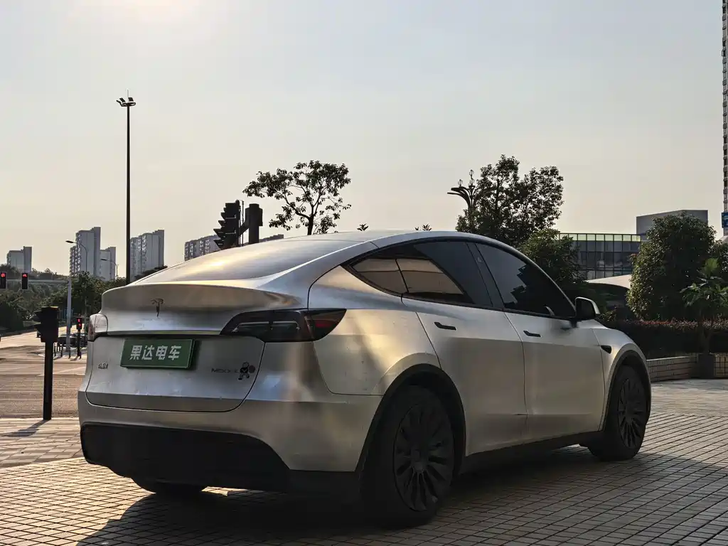 Tesla Model Y — миниатюра 8