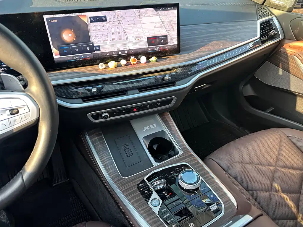 BMW X5 — миниатюра 15