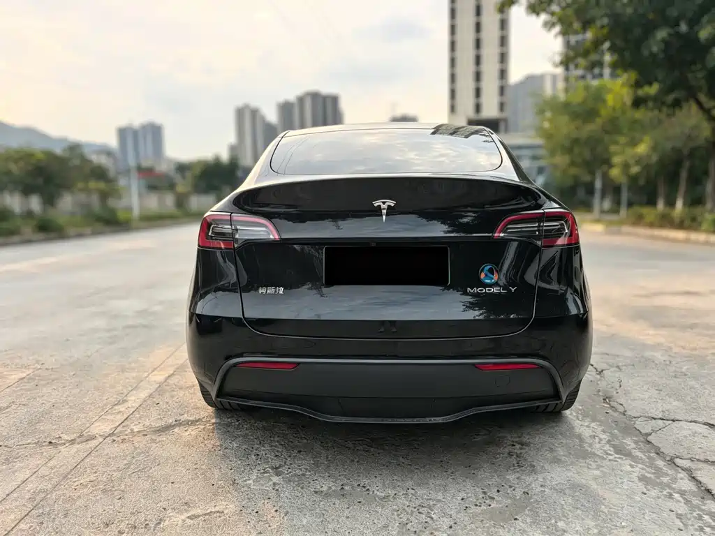 Tesla Model Y — миниатюра 5