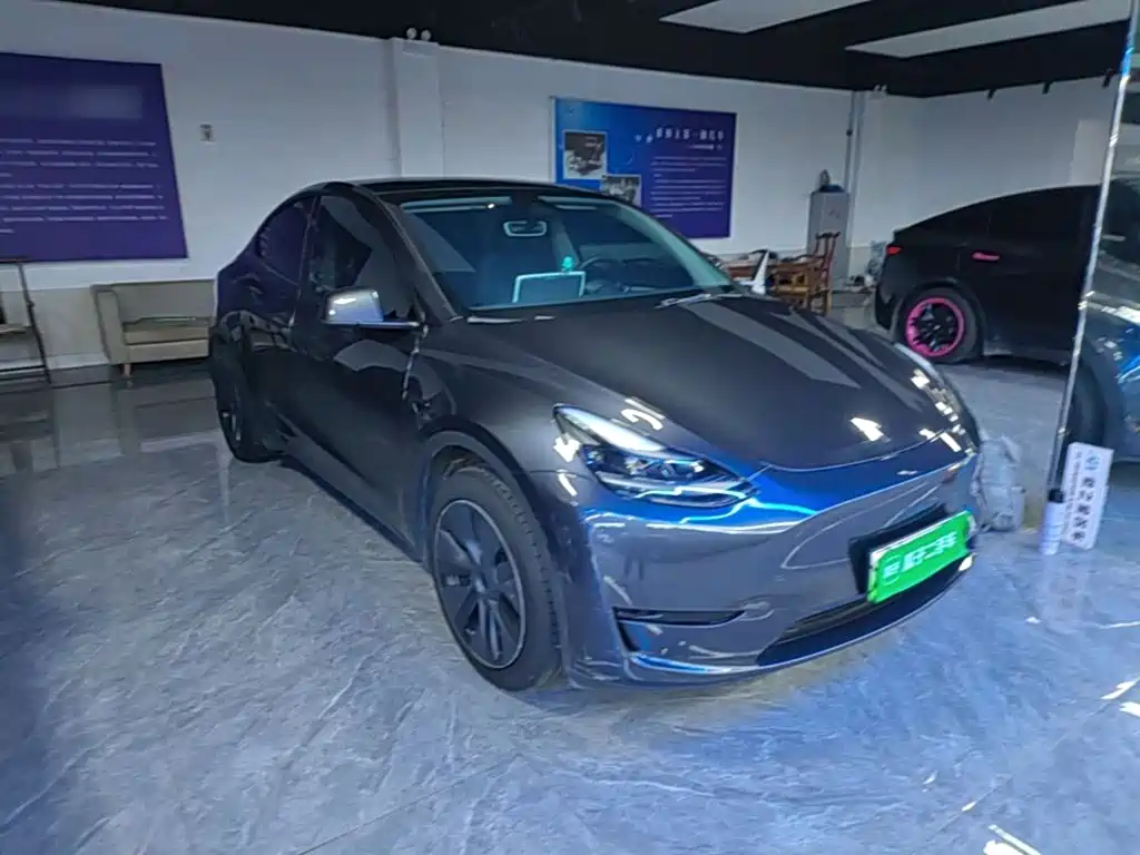 Tesla Model Y — миниатюра 4