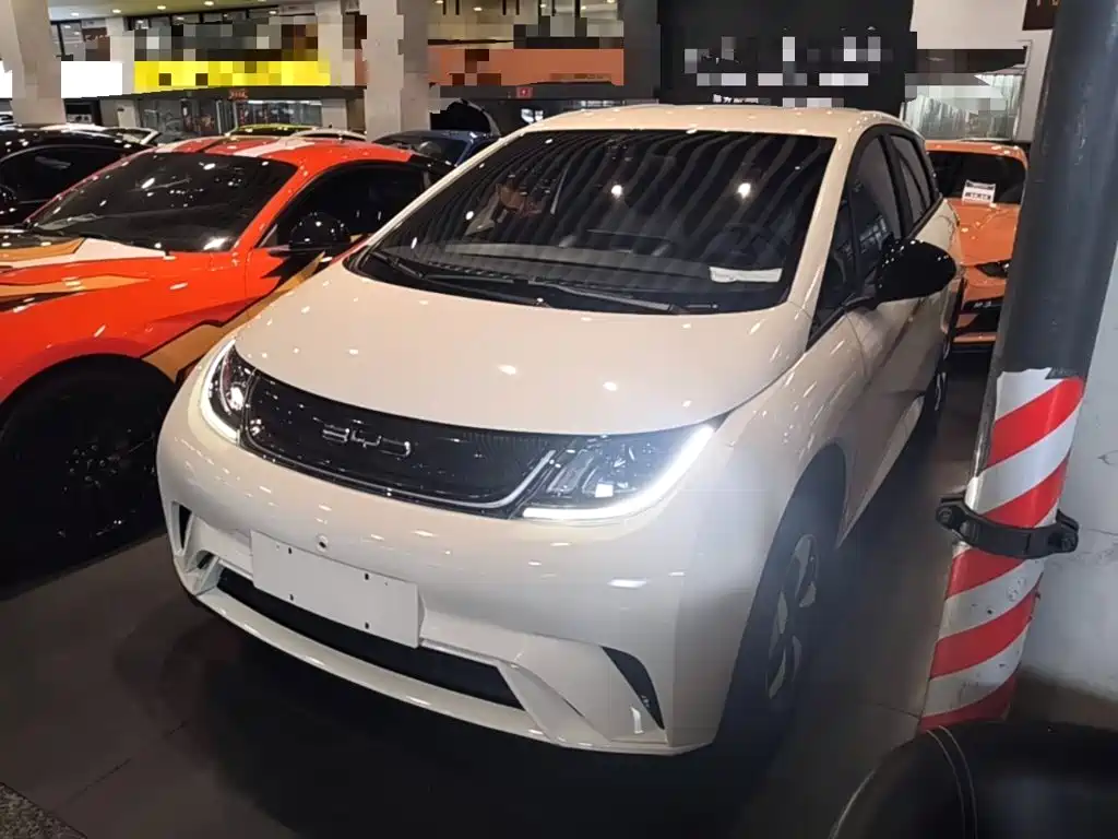 BYD Dolphin 2025 420km Freedom
