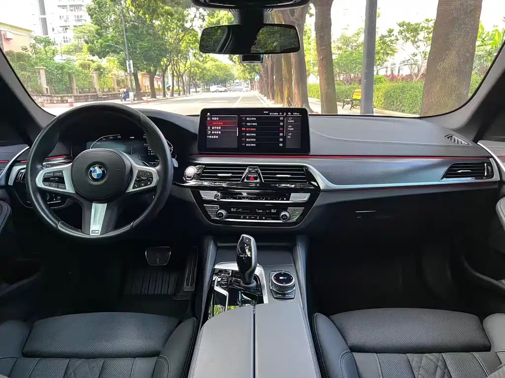 BMW 5 Series (Import) — миниатюра 10