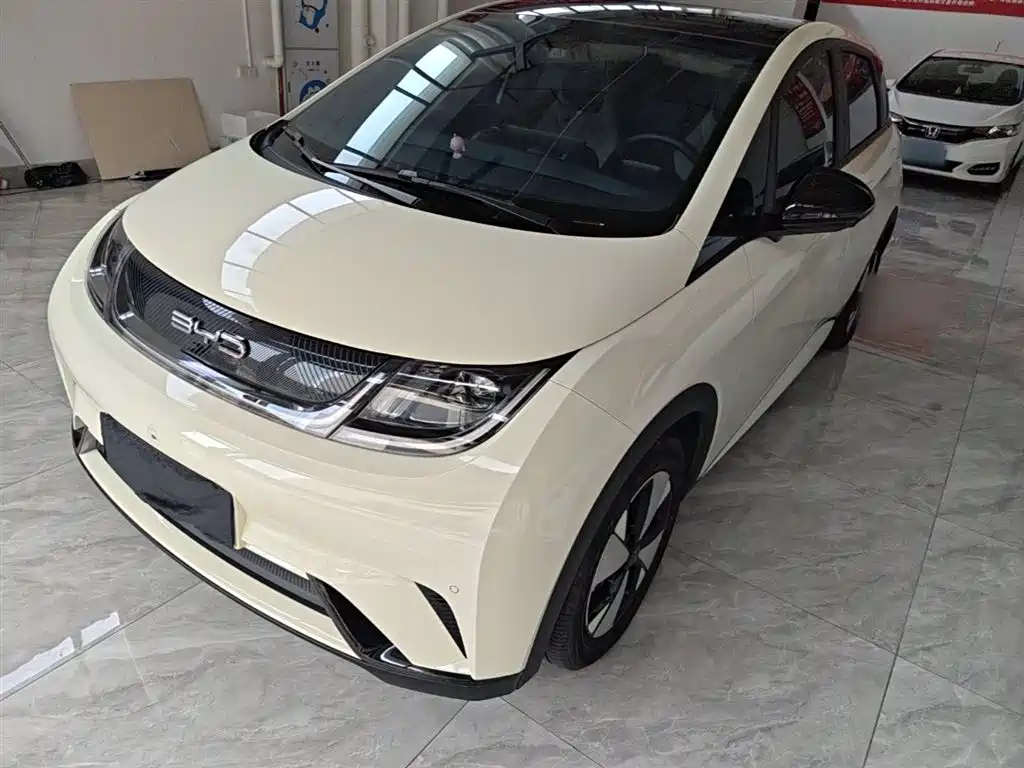 Byd Dolphin 2024