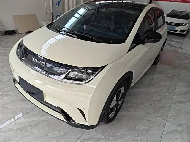 2024 BYD Dolphin