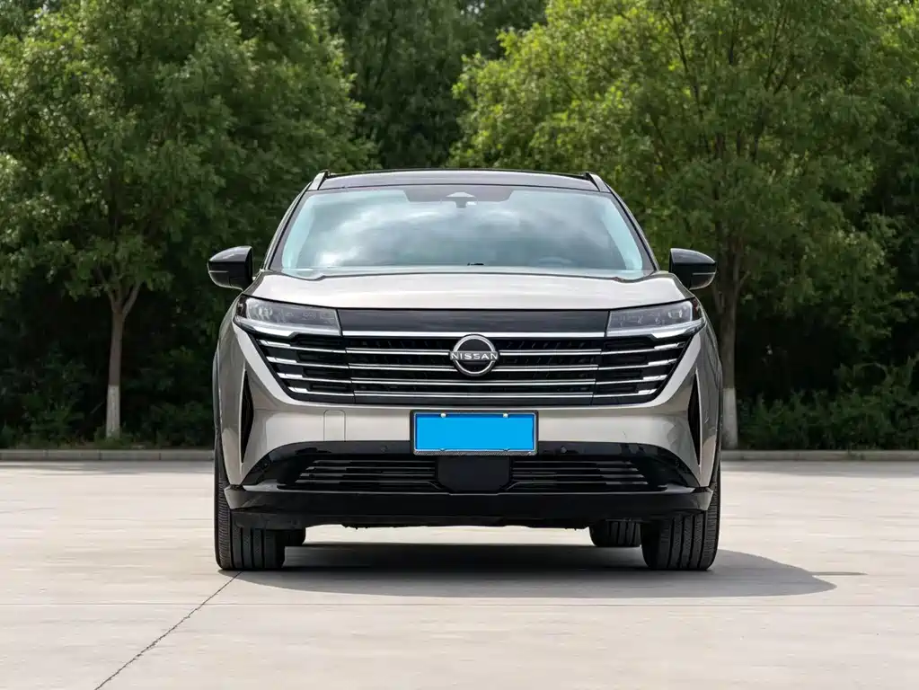 Nissan Teramont — миниатюра 2
