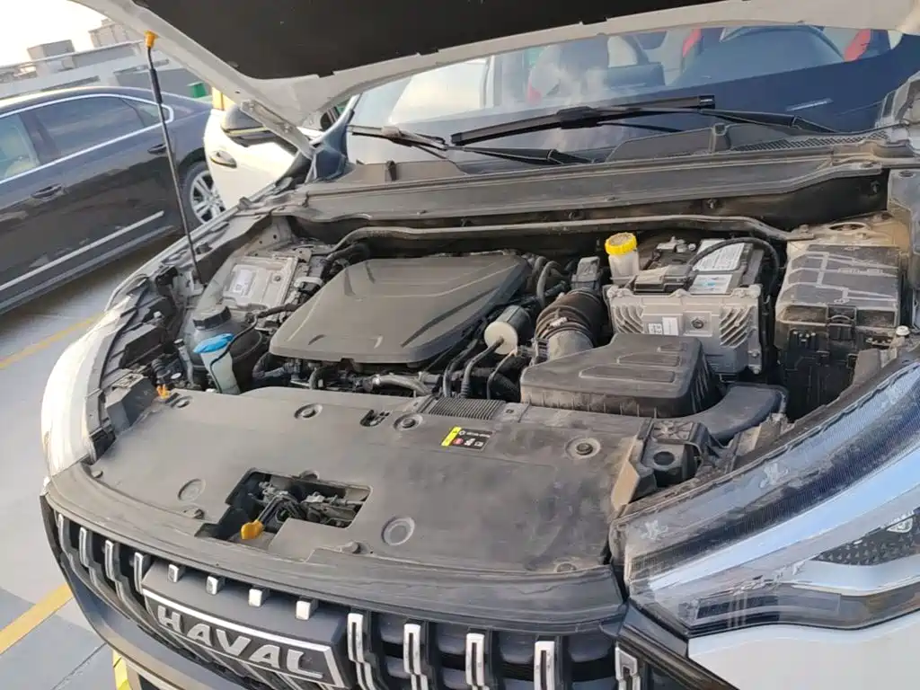 Haval Chitu — миниатюра 25