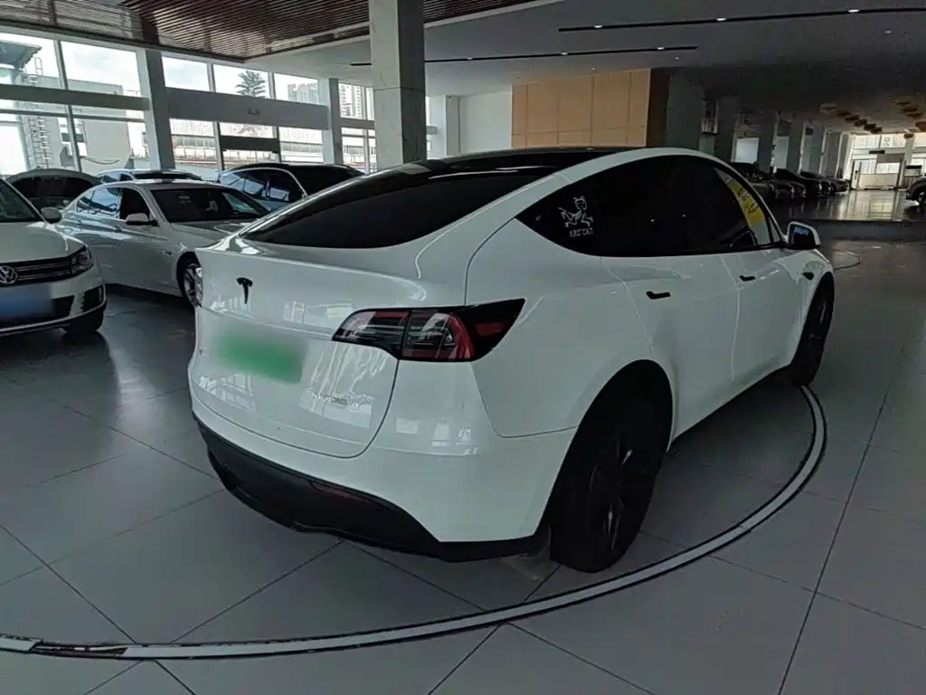 Tesla Model Y — миниатюра 7