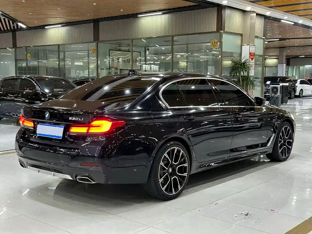 BMW 5 Series — миниатюра 4