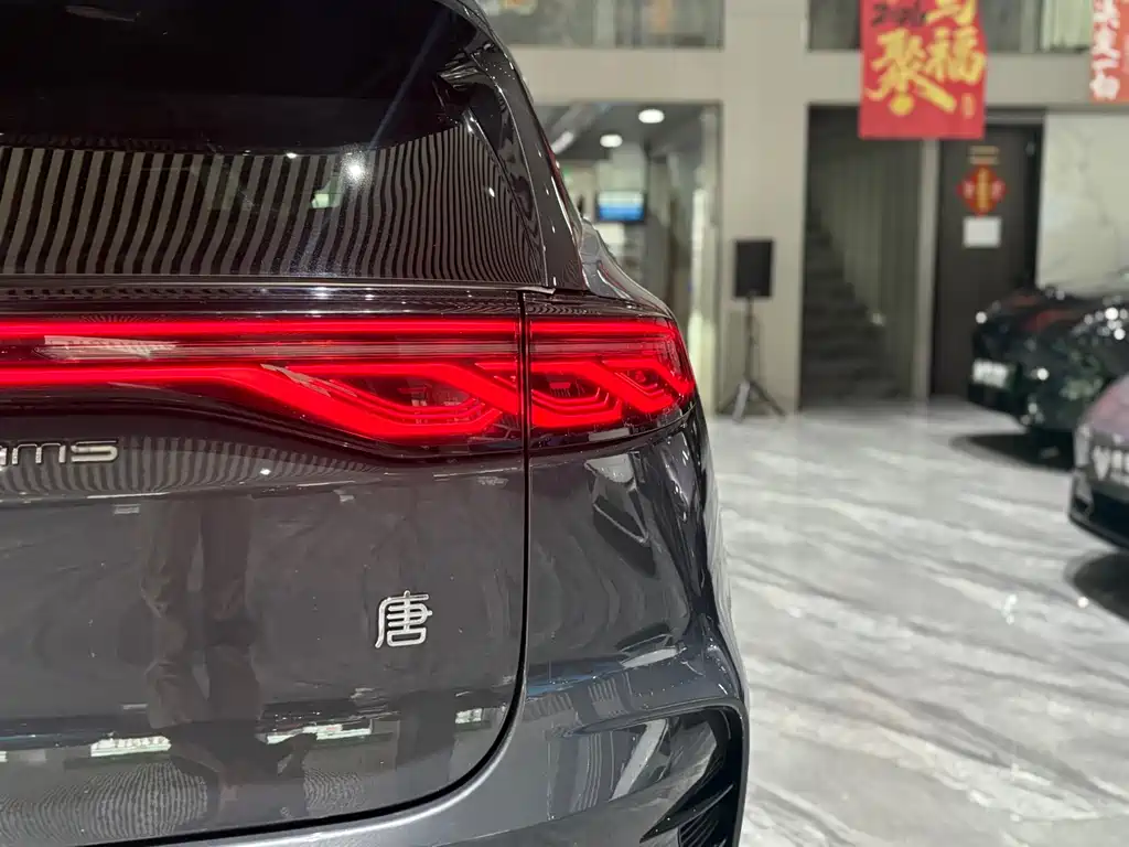 BYD Tang New Energy — миниатюра 30