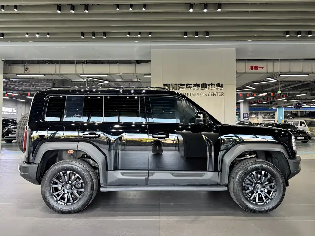 FANG CHENG BAO LEOPARD 5