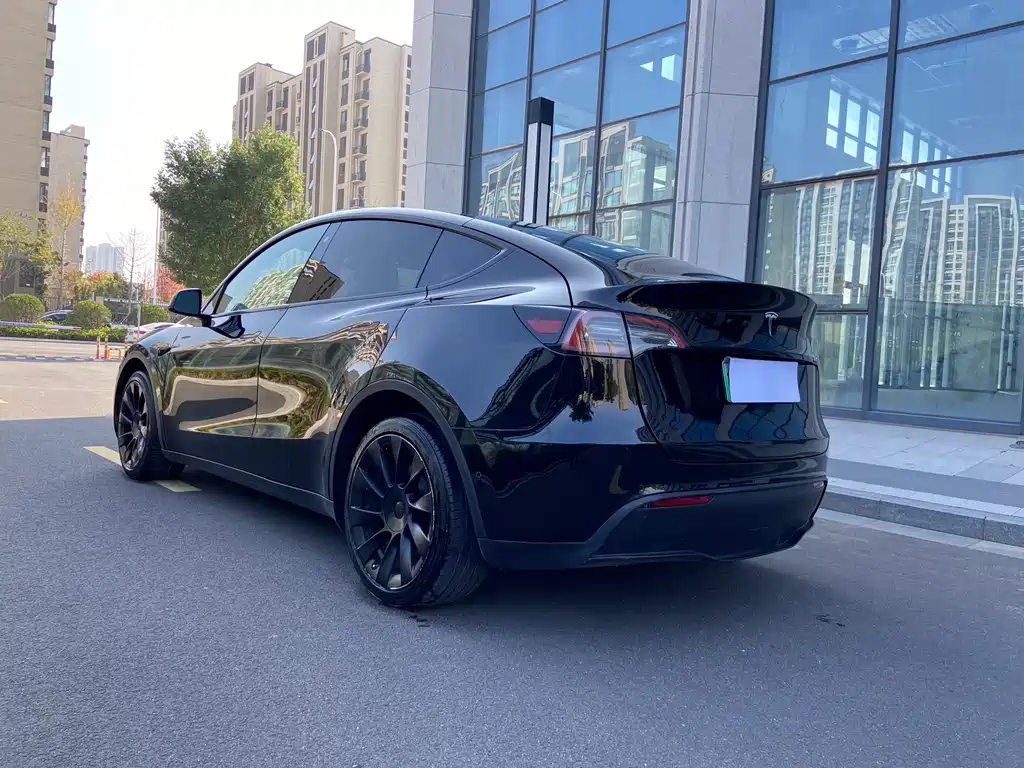 Tesla Model Y — миниатюра 3
