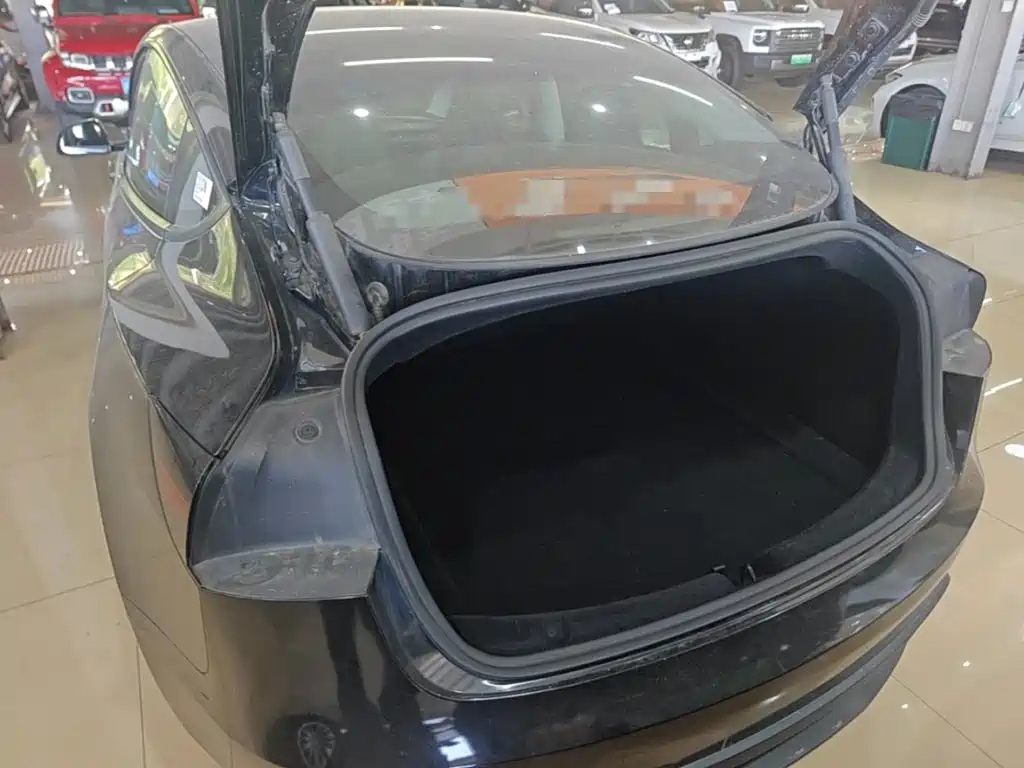 Tesla Model 3 — миниатюра 19