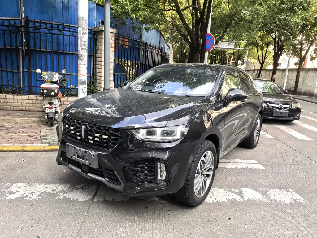 Wey Wey VV5