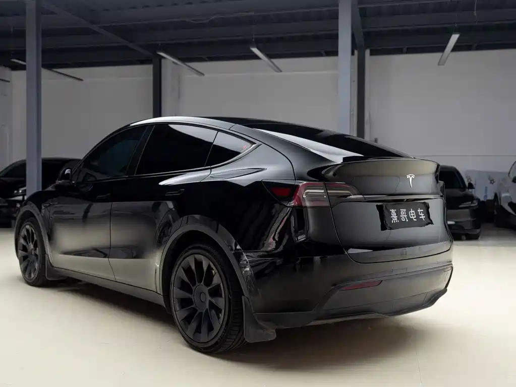 Tesla Model Y — миниатюра 4