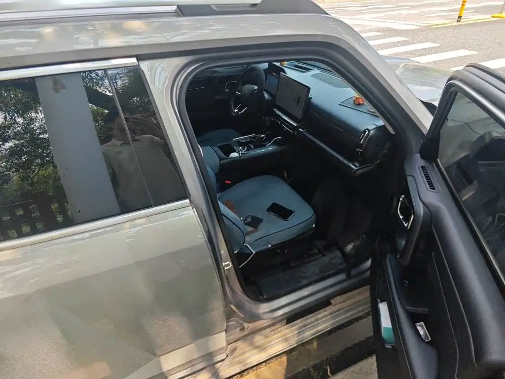Haval Big Dog PLUS New Energy — миниатюра 19