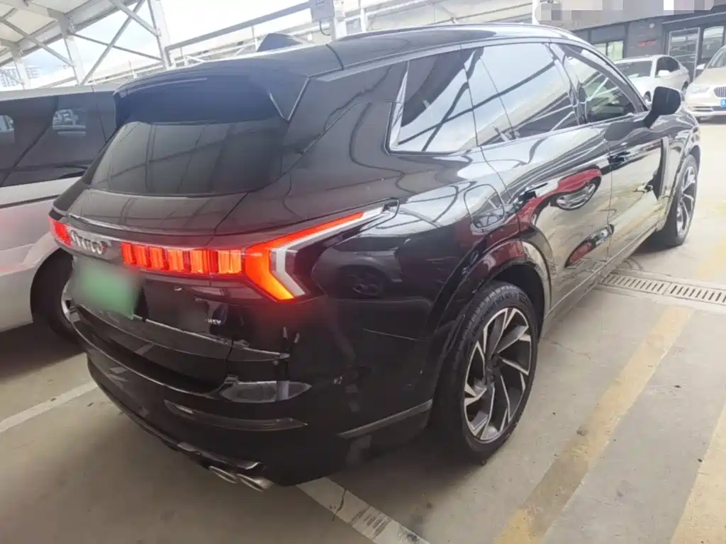 Lynk & Co 09 EM-P 2021 2.0T PHEV Halo мест