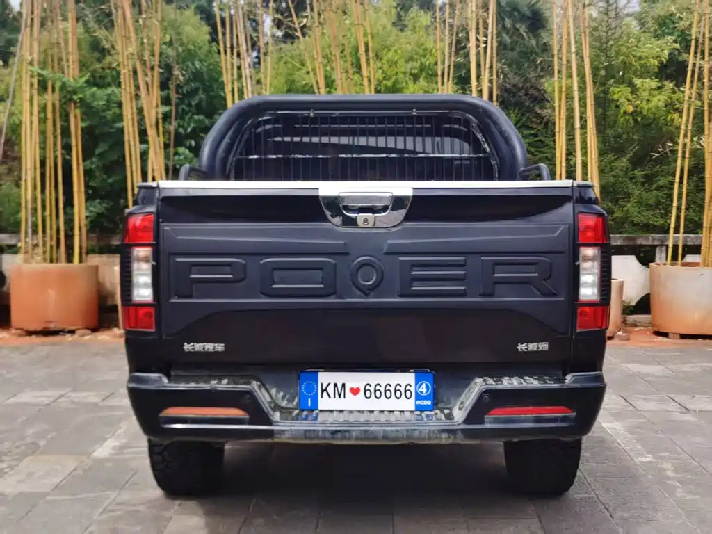 Great Wall Pao — миниатюра 5