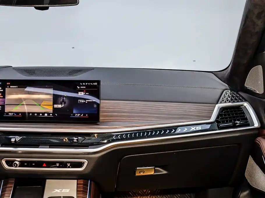 BMW X5 — миниатюра 33