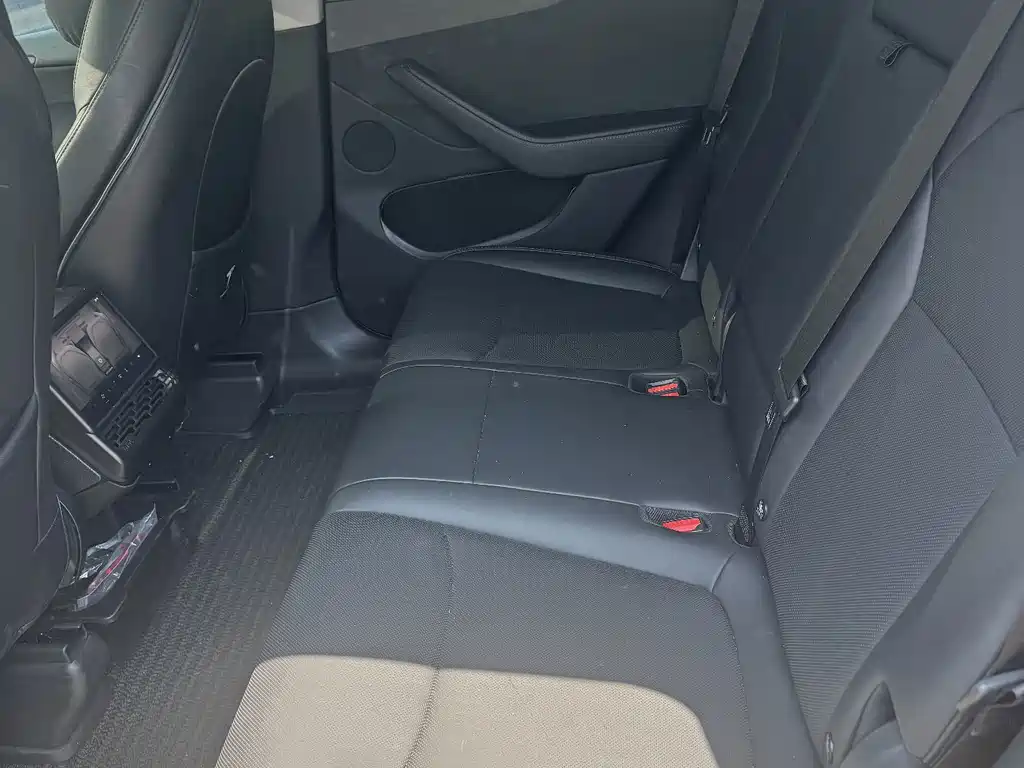 Tesla Model Y — миниатюра 13