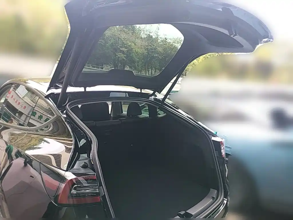 Tesla Model Y — миниатюра 24