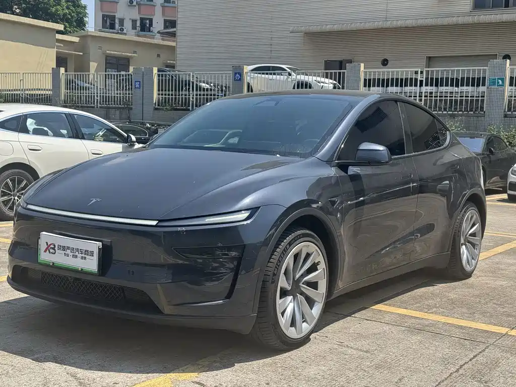 Tesla Model Y — миниатюра 4