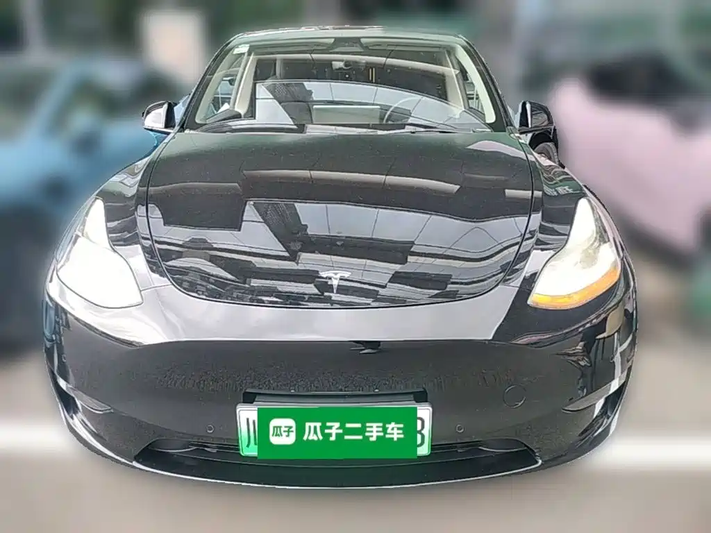 Tesla Model Y — миниатюра 5