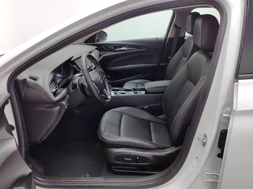 Buick Regal — миниатюра 10
