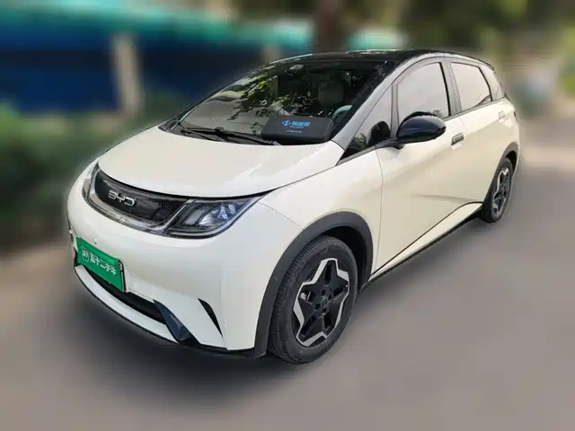 BYD Dolphin
