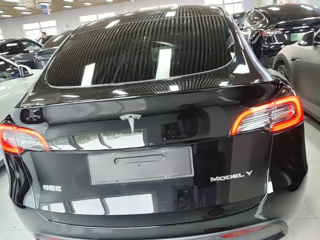 Tesla Model Y — миниатюра 6
