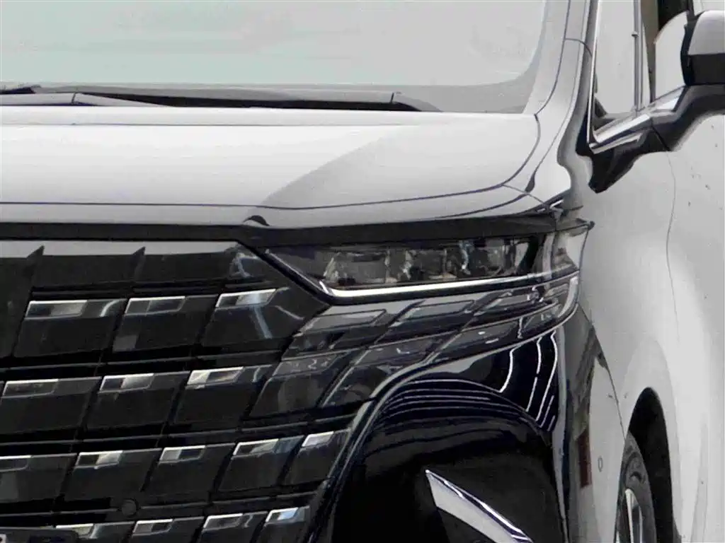 Toyota Alphard — миниатюра 3