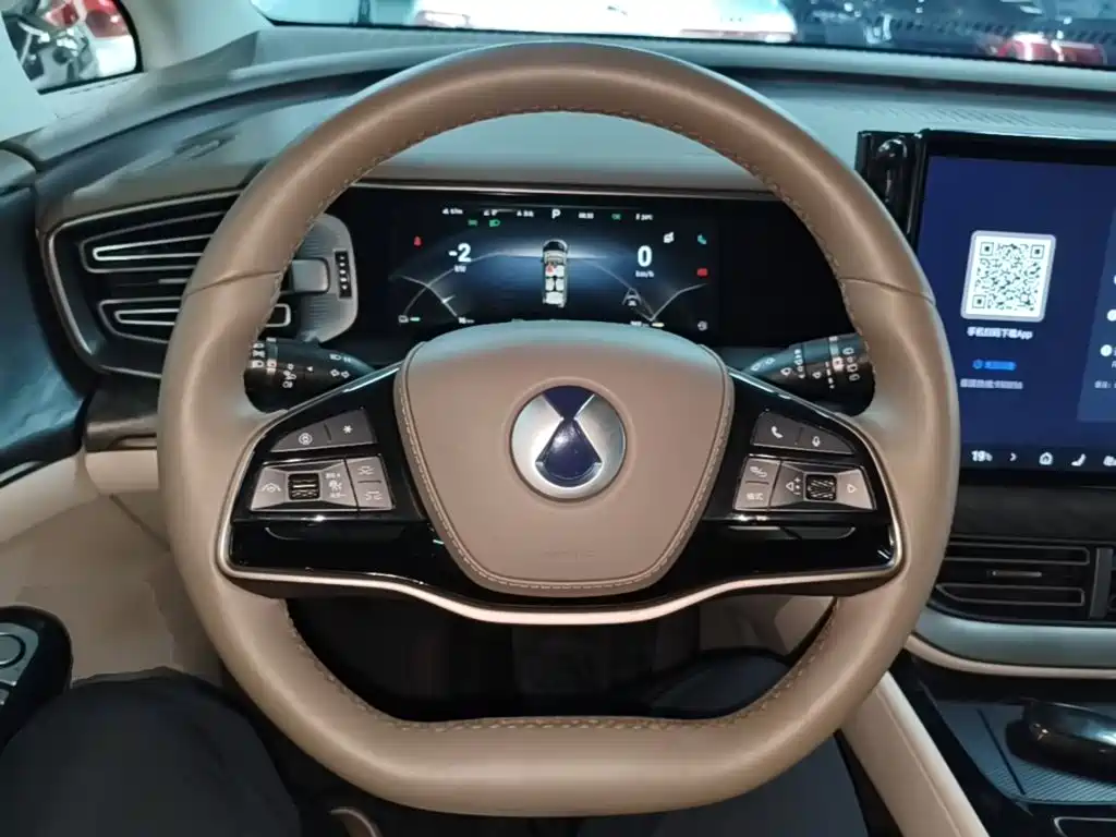 Denza Denza D9 — миниатюра 11