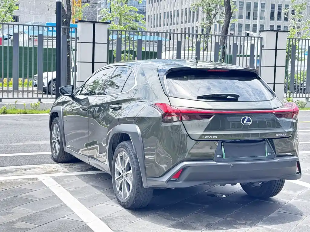 Lexus UX 2020 300e
