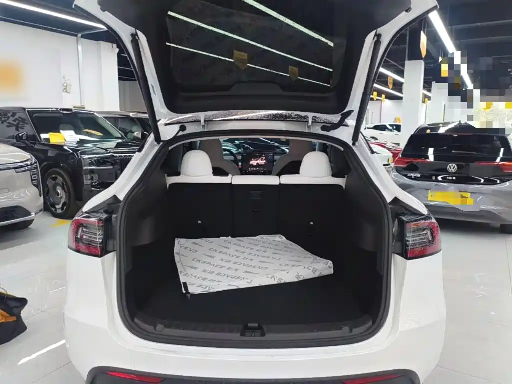 Tesla Model Y — миниатюра 19