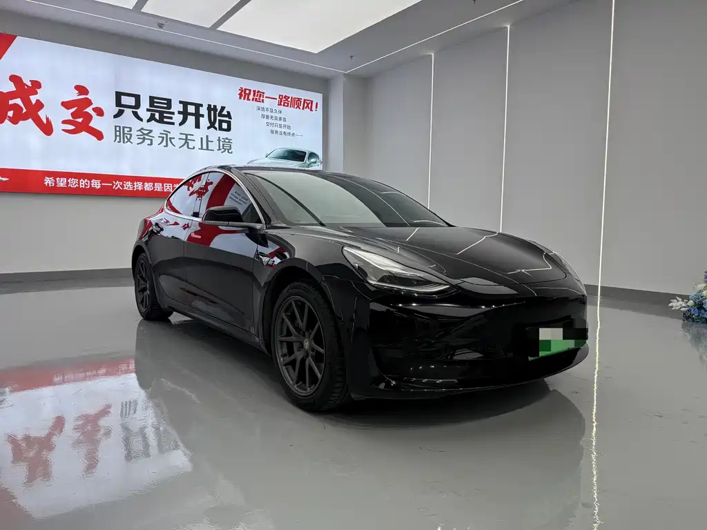 Tesla Model 3 — миниатюра 3