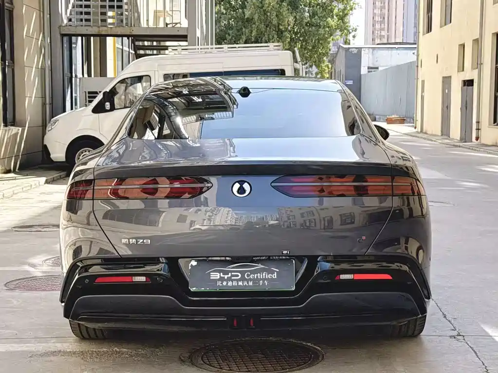 Denza Denza Z9 — миниатюра 11