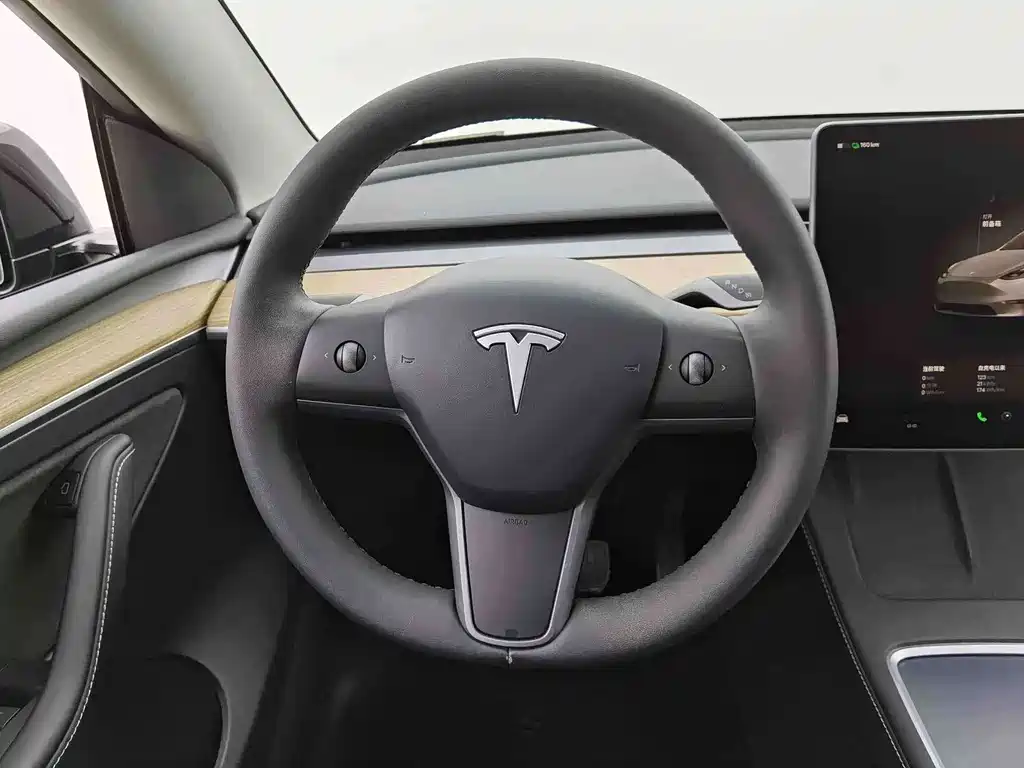 Tesla Model Y — миниатюра 6