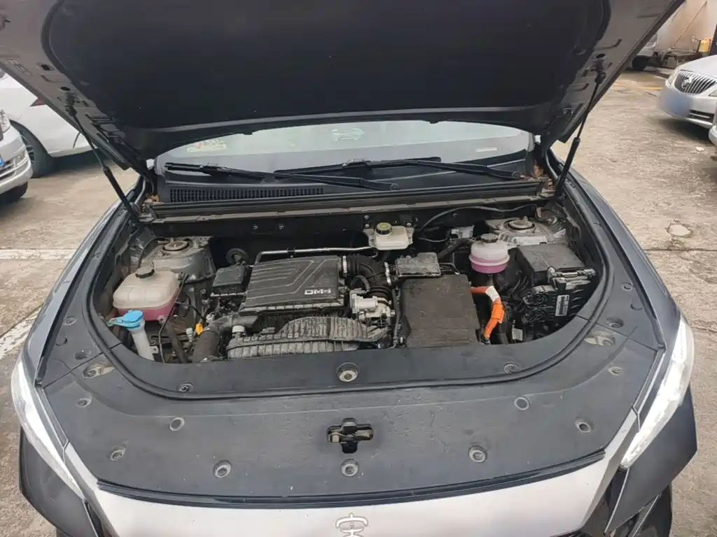 BYD Pro New Energy — миниатюра 20